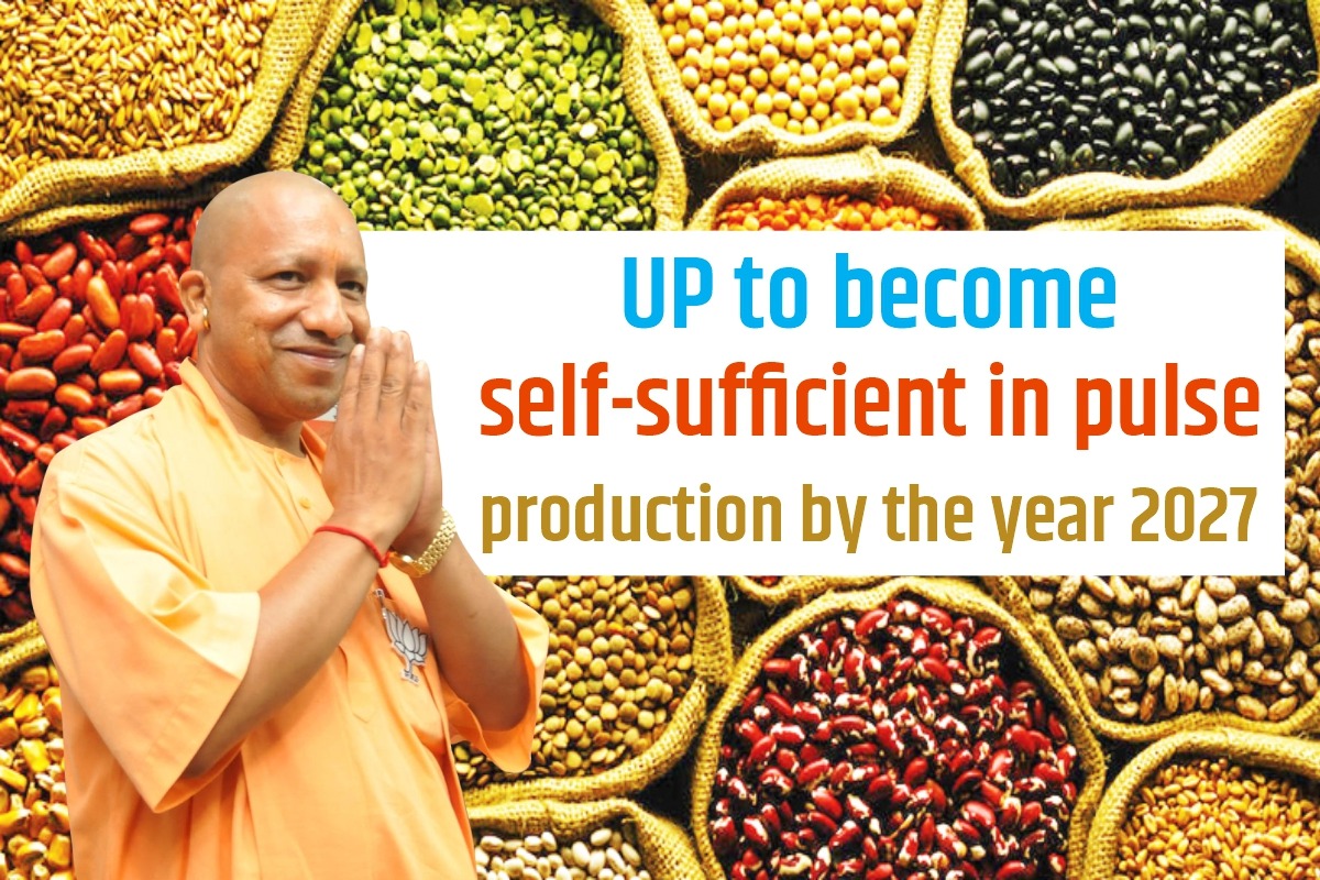 UP to become self-sufficient in pulse production by the year 2027